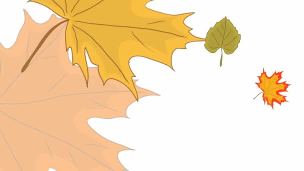 Bezešvé Smyčkové Animace Listy Letícími Směrem Různými Směry Podzim Listí — Stock video