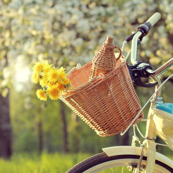 Wycieczka rowerowa na wiosenny piknik — Zdjęcie stockowe
