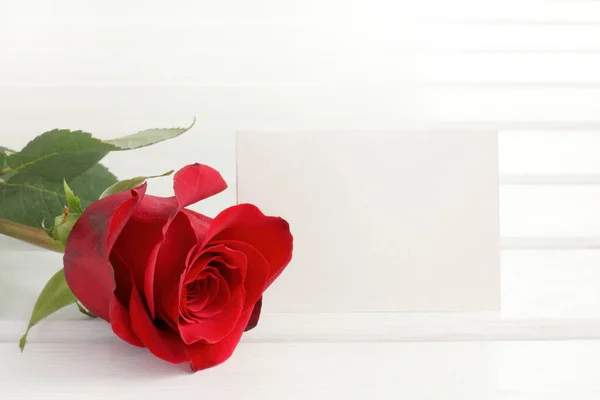 Rosa Roja Una Etiqueta Para Inscripciones Vista Frontal Para Deseos — Foto de Stock