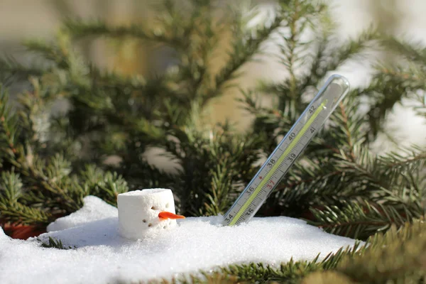 old thermometer and melted snowman on a spring sunny day . climatic changes in global warming