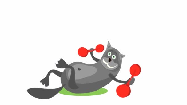 Графическая Анимация Кошка Упражняется Красными Гантелями Коврике Упражнения Поддержания Физической — стоковое видео