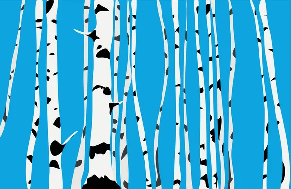 トルコ石の空に対して白樺の木の多くの幹 春の森 — ストックベクタ