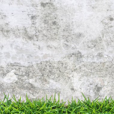 Antika arka plan beton doku ve yeşil çimen.