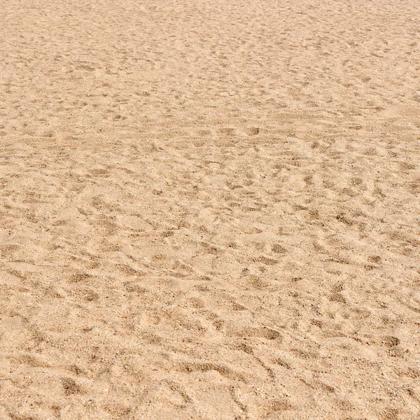 Deniz kum Beach desen ve doku. — Stok fotoğraf