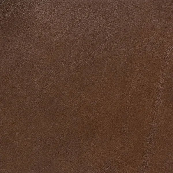 Moda tasarım arka plan için deri doku arka plan.