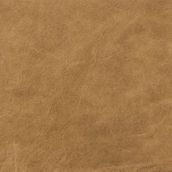 Moda tasarım arka plan için deri doku arka plan.