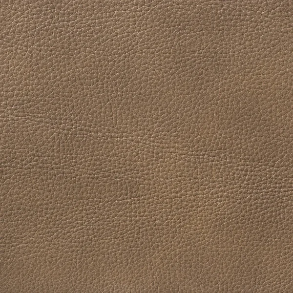Moda tasarım arka plan için deri doku arka plan.