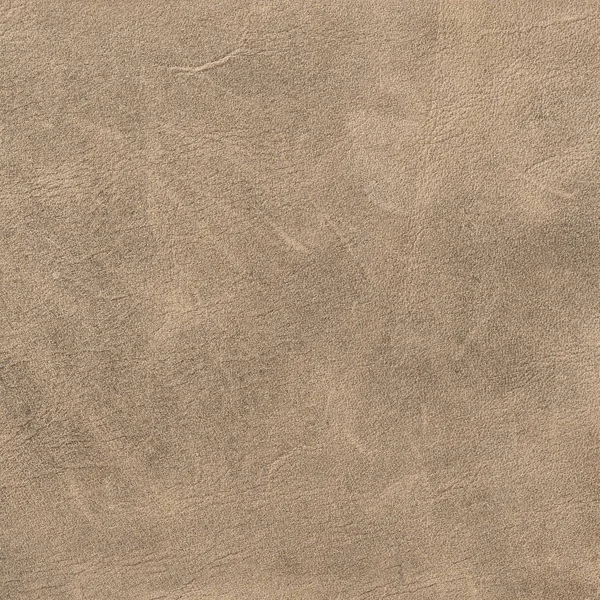 Moda tasarım arka plan için deri doku arka plan.