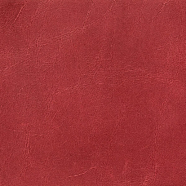 Leather texture background for fashion design.
