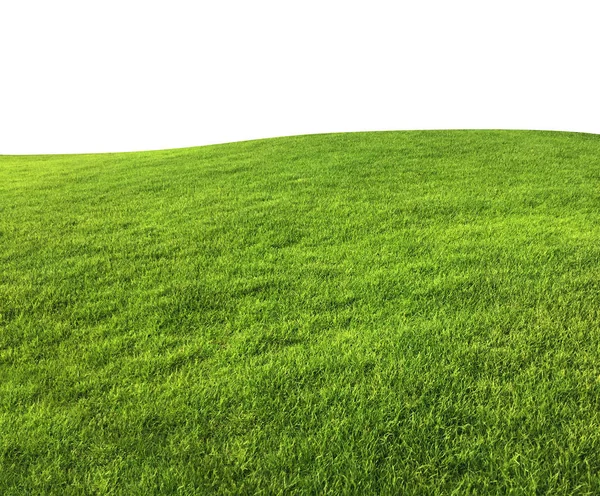 Verde grama textura fundo isolado no fundo branco com — Fotografia de Stock