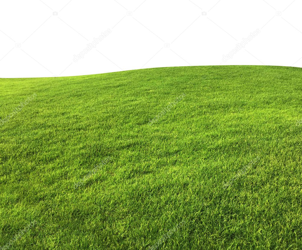 Green grass texture background isolated on white background with