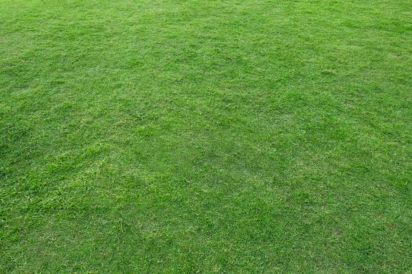 Grüne Wiese Gras für Fußballplatz. — Stockfoto