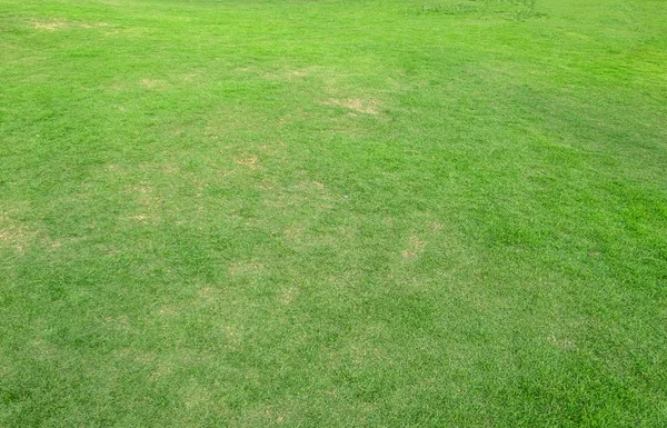 Зеленая луговая трава для футбольного поля . — стоковое фото