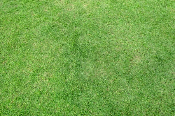 Textura de hierba verde para el fondo. Patrón de césped verde y textu — Foto de Stock