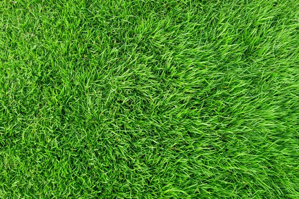 Texture herbe verte pour le fond. Modèle de pelouse verte et textu — Photo
