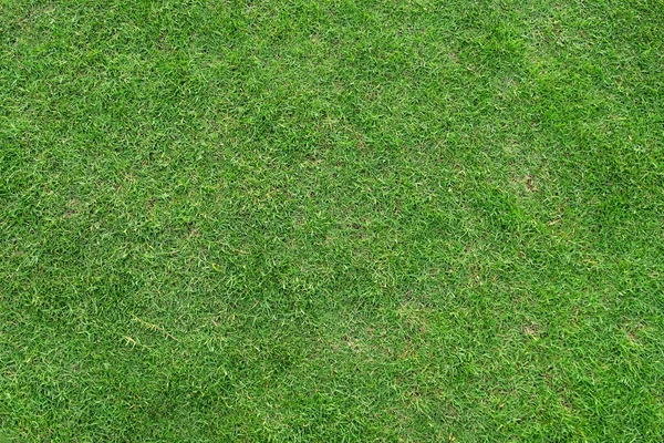 Textura de hierba verde para el fondo. Patrón de césped verde y textu —  Fotos de Stock