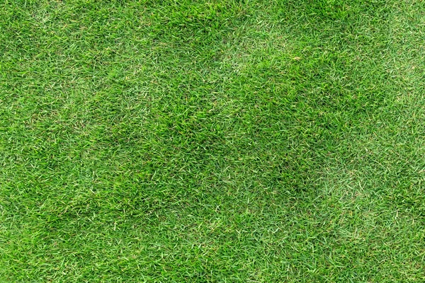 Textura de hierba verde para el fondo. Patrón de césped verde y textu —  Fotos de Stock