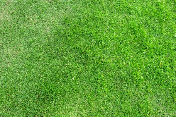 Textura de hierba verde para el fondo. Patrón de césped verde y textu —  Fotos de Stock