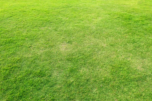 Fondo de césped verde artificial. Piel de textura de suelo de hierba verde — Foto de Stock