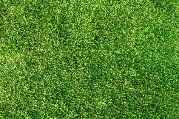 Yapay yeşil çimen arka planı. Yeşil çimen döşeme deseni