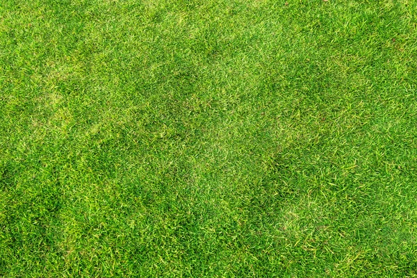 Fondo de césped verde artificial. Piel de textura de suelo de hierba verde — Foto de Stock