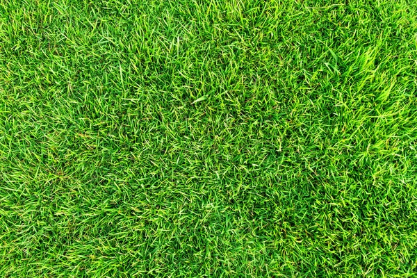 Latar belakang rumput hijau buatan. Tekstur lantai rumput hijau — Stok Foto