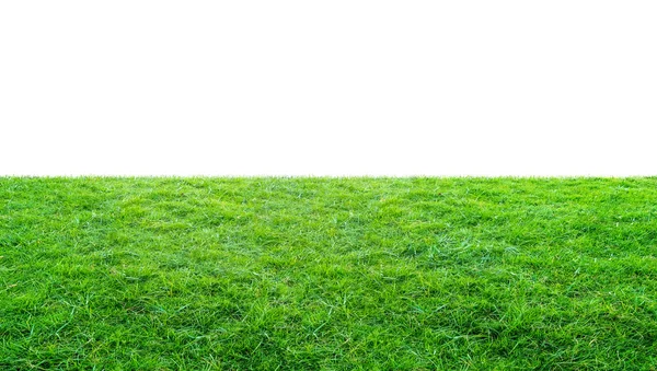 Зеленое Травянистое Луговое Поле Открытого Парка Выделено Белом Фоне Вырезкой — стоковое фото