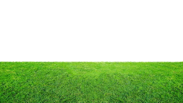 Зеленое Травянистое Луговое Поле Открытого Парка Выделено Белом Фоне Вырезкой — стоковое фото