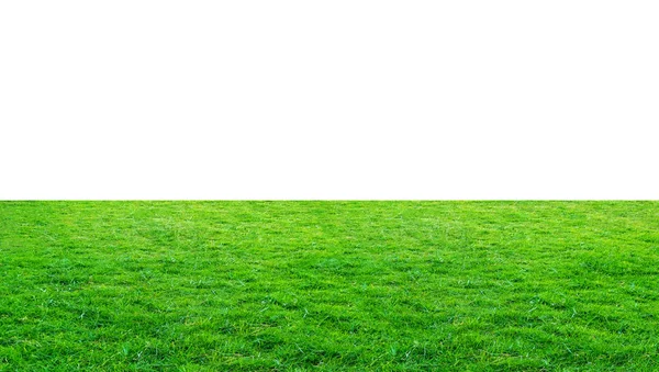 Green Grass Meadow Field Outdoor Park Isolated White Background Clipping — Stock Photo, Image