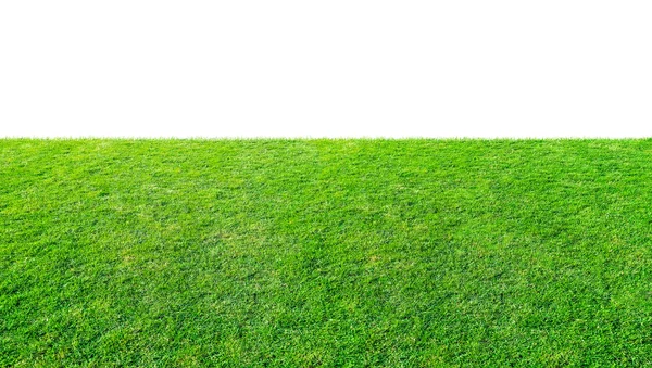 Groene Gras Weide Veld Van Outdoor Park Geïsoleerd Witte Achtergrond — Stockfoto