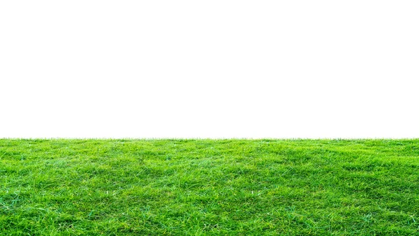 Grünes Gras Wiese Feld Von Outdoor Park Isoliert Weißem Hintergrund — Stockfoto