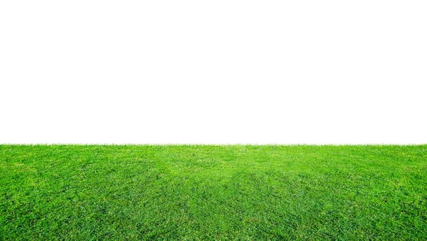 Green Grass Meadow Field Outdoor Park Isolated White Background Clipping — Stock Photo, Image