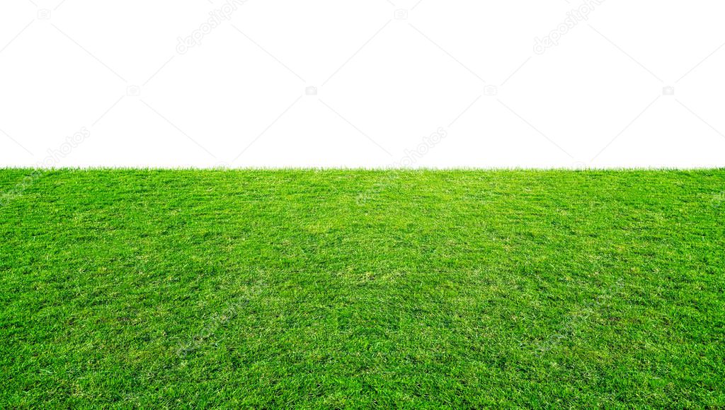 Green grass meadow field from outdoor park isolated in white background with clipping path. Outdoor countryside meadow nature. Landscape of grass field in public park use as natural background.