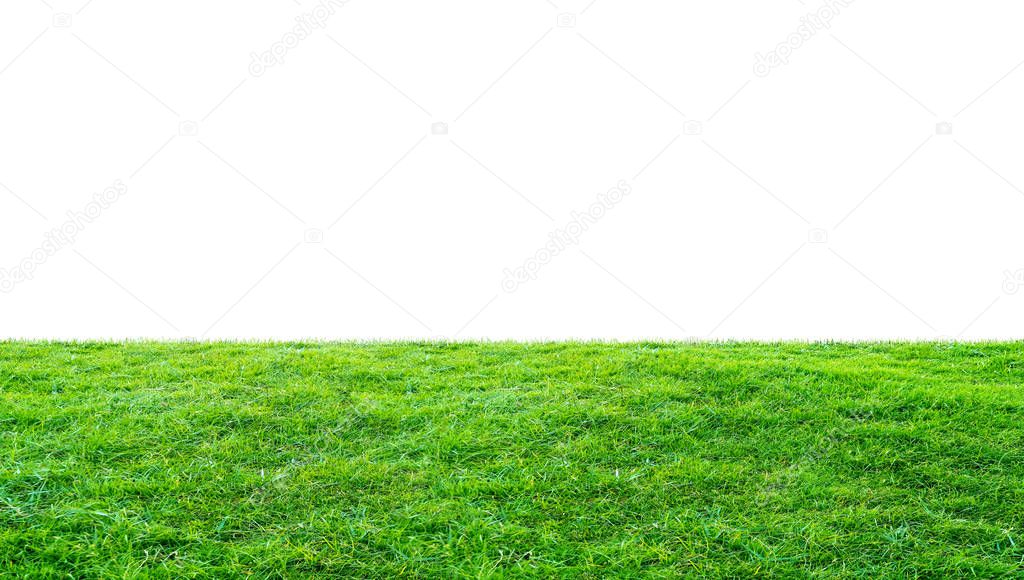 Green grass meadow field from outdoor park isolated in white background with clipping path. Outdoor countryside meadow nature. Landscape of grass field in public park use as natural background.