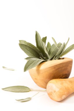 Arka plan ile üzerinde havaneli ile ahşap harç içinde taze adaçayı.