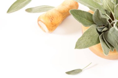 Arka plan ile üzerinde havaneli ile ahşap harç içinde taze adaçayı.