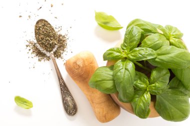 Ahşap harç havaneli ile taze fesleğen ve kaşık, üzerinde arka plan ile kurutulmuş.