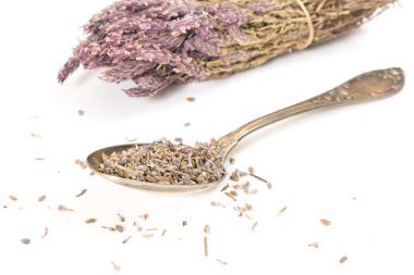 Taze lavanta antika kaşık ve beyaz arka plan üzerinde kuru lavanta paket kuru.