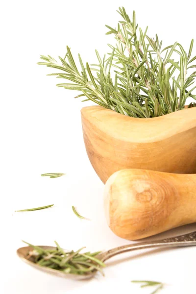 Fresh rosemary in  wooden mortar with pestle on withe background. Stock Picture