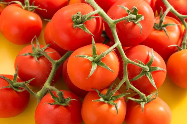 Alça de tomates cereja vermelhos com haste, close-up — Fotografia de Stock