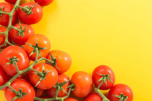 Pico de tomates cereja vermelhos com caule, sobre fundo amarelo vívido com espaço de cópia — Fotografia de Stock