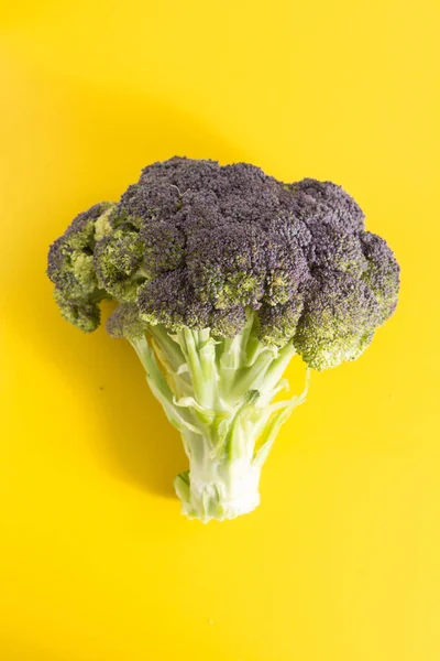 Färsk grön broccoli, på levande gul bakgrund — Stockfoto