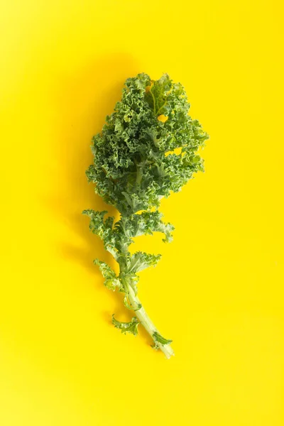 Färsk grön grönkål blad, på levande gul bakgrund — Stockfoto