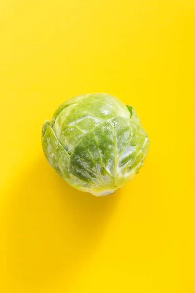 Verse groene Brussel ontkiemen, op levendige gele achtergrond Stockfoto