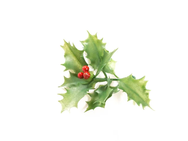 Green decorative Holly branch, on white background. — Stock Photo, Image