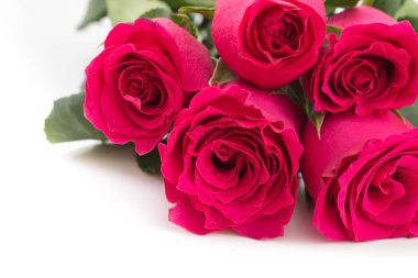 Closeup beyaz zemin üzerine kırmızı gül buketi.