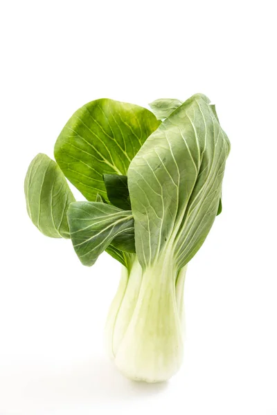 Färska gröna baby bok choy, på vit bakgrund — Stockfoto