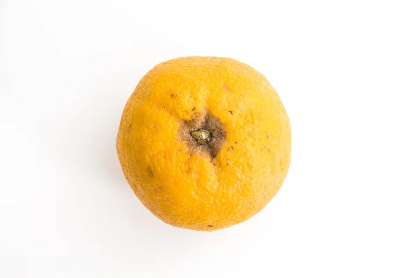 Naranja, primer plano sobre fondo blanco . —  Fotos de Stock