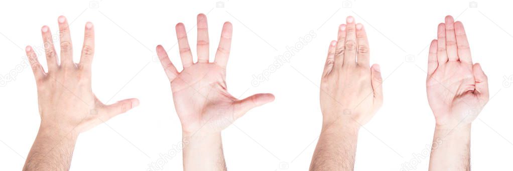 Set of gesturing hands, on white background.