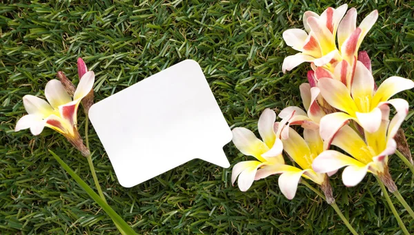 Blank Note Shape Speech Bubble Flowers Green Grass — Stock Photo, Image